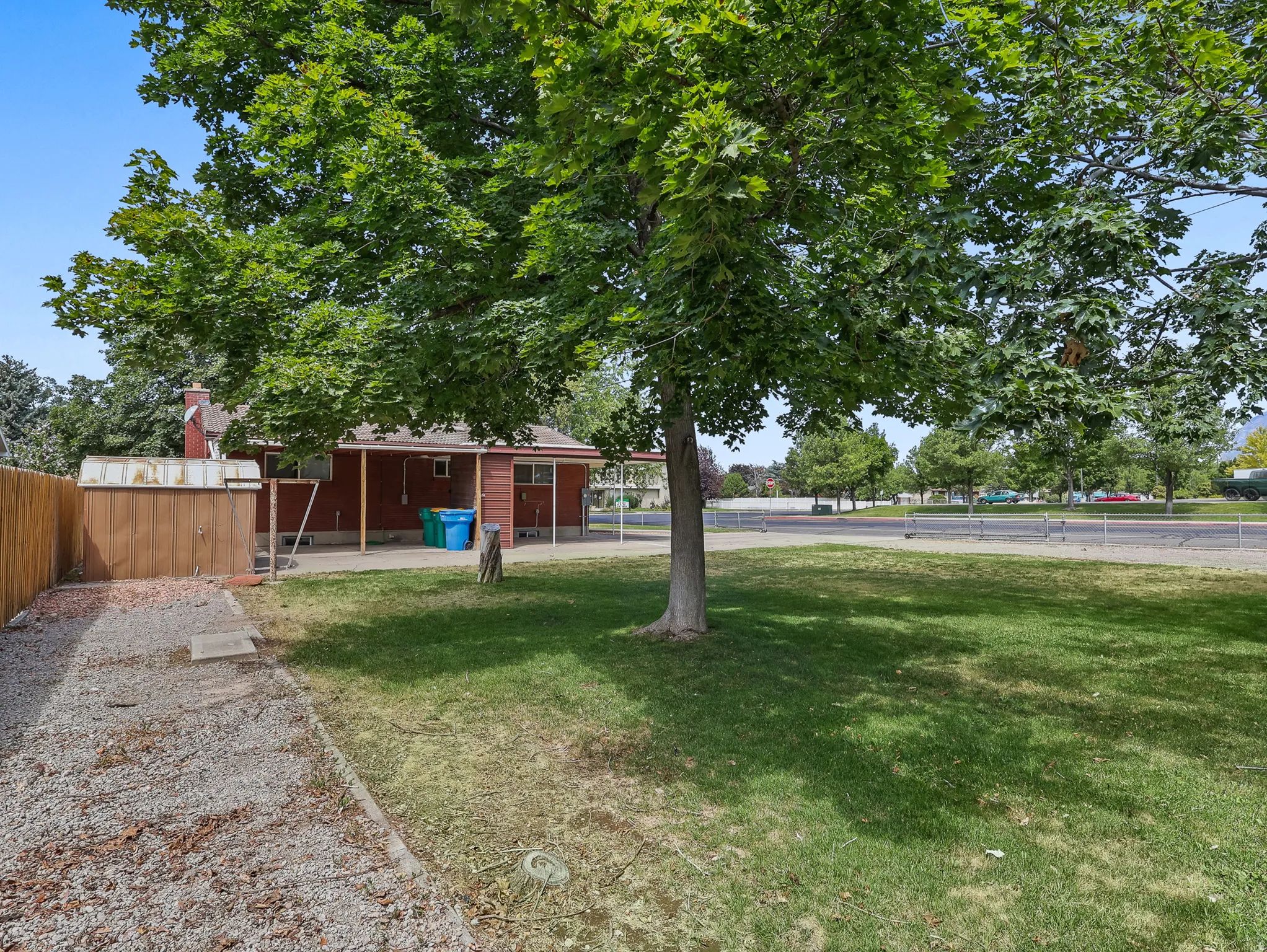 Mature trees in backyard