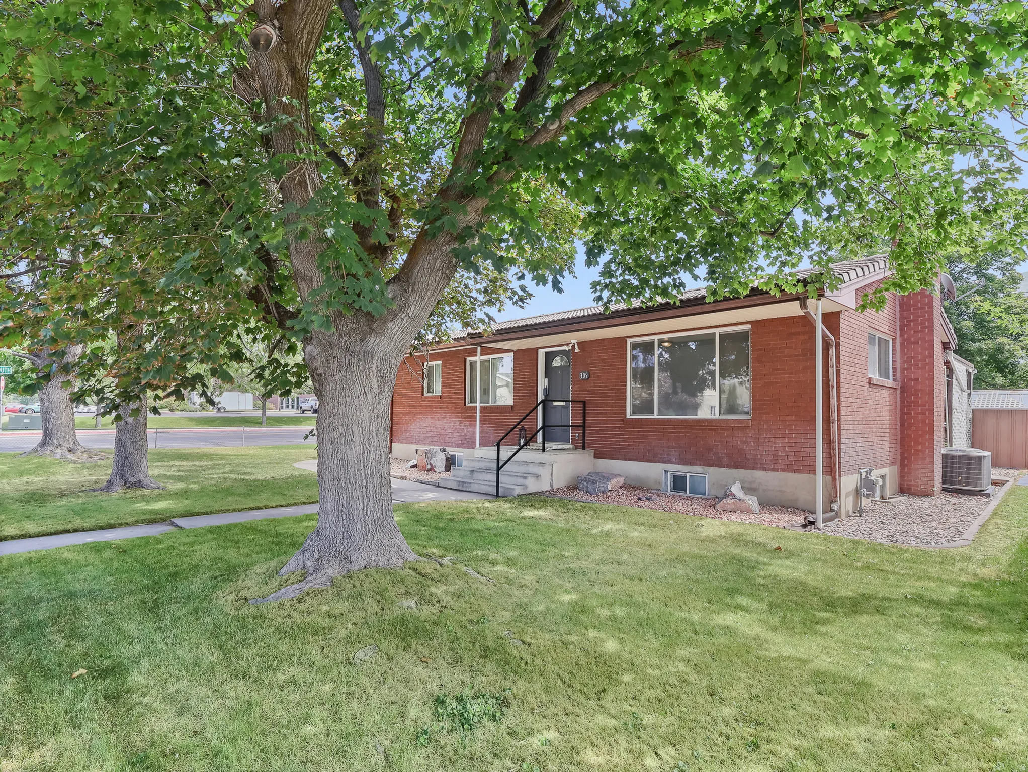 Mature trees in front yard