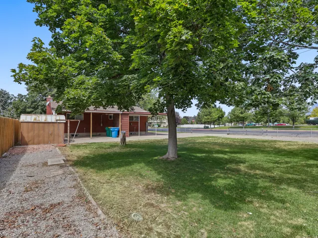 Mature trees in backyard