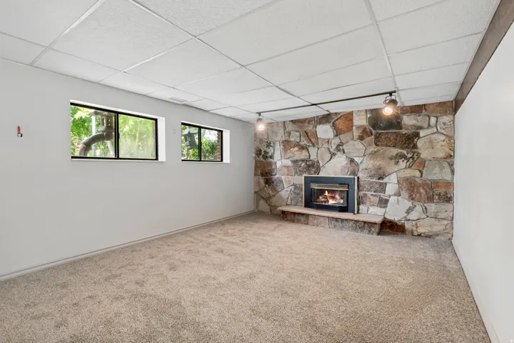 Recessed fireplace with a stone surround and hearth, track lighting, two windows, and carpeting