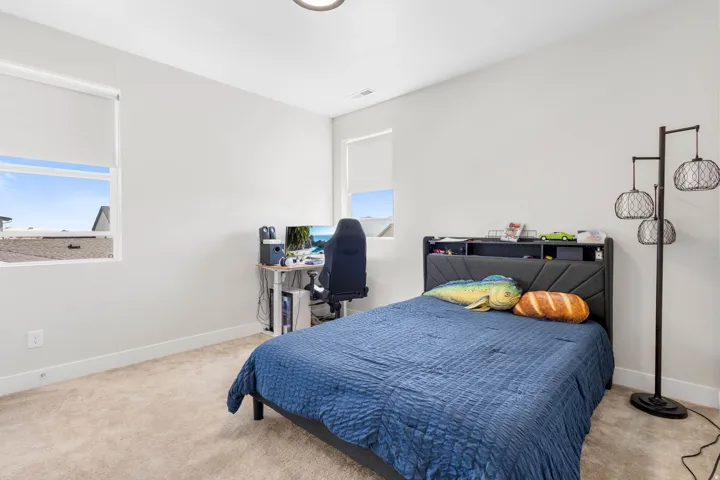 Neutral wall color, carpeted flooring, two windows with roller shades, and a ceiling-mounted light fixture