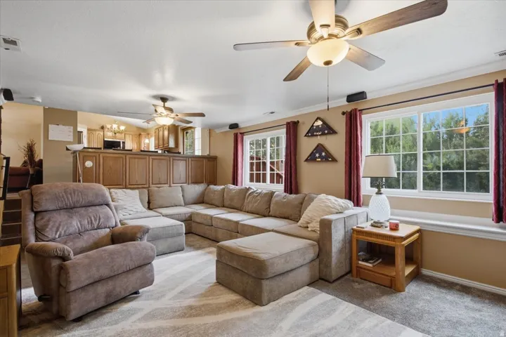 Carpeted living area with two ceiling fans, multiple windows, and a partial height wall with wood-finish paneling