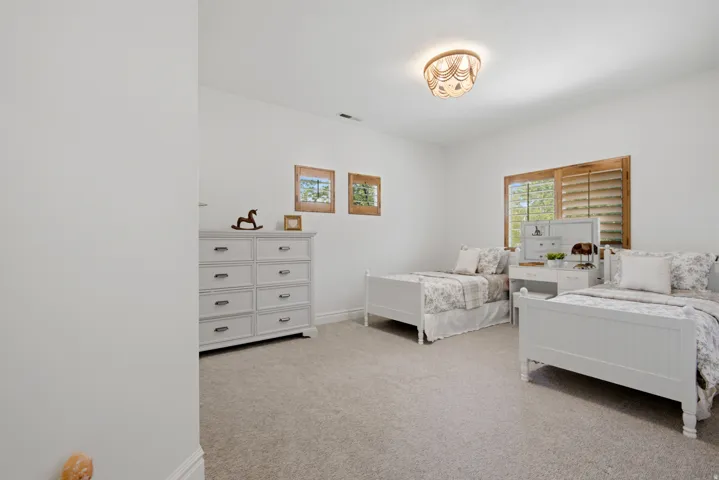 Carpeted flooring, white walls, wood-framed window with wood shutters, and a decorative flush-mount ceiling light fixture