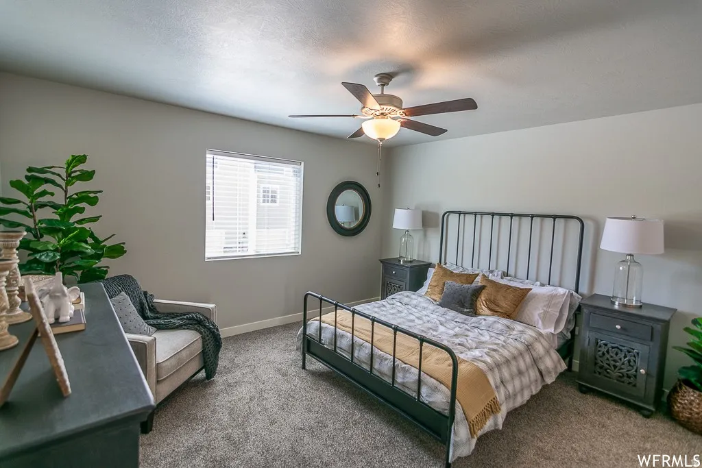Spacious primary bedroom featuring a metal frame bed, carpeted flooring, and abundant natural light from a large window