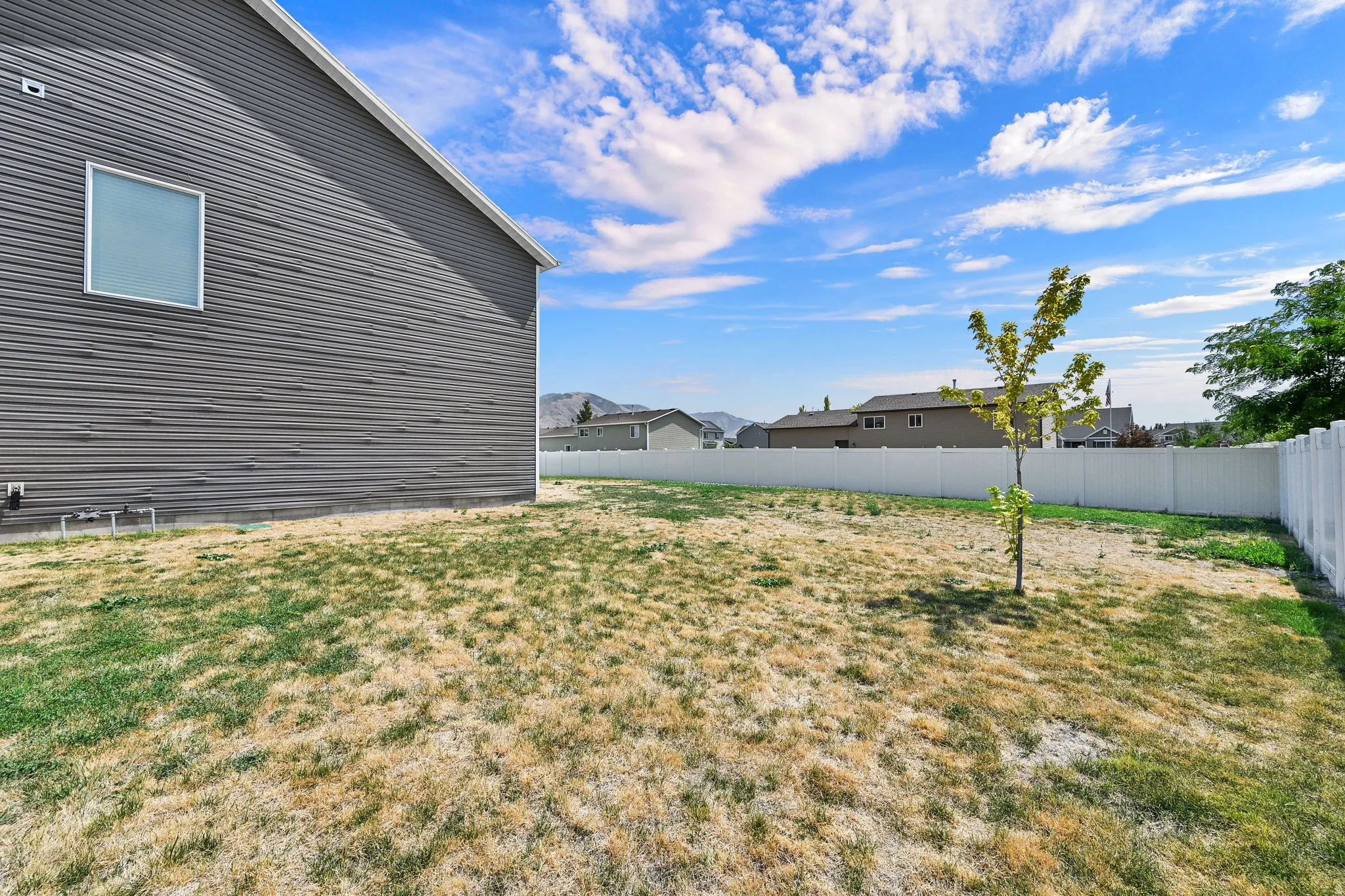 Expansive lot featuring a newly installed privacy fence, contemporary horizontal siding, a prominent window, and established plantings
