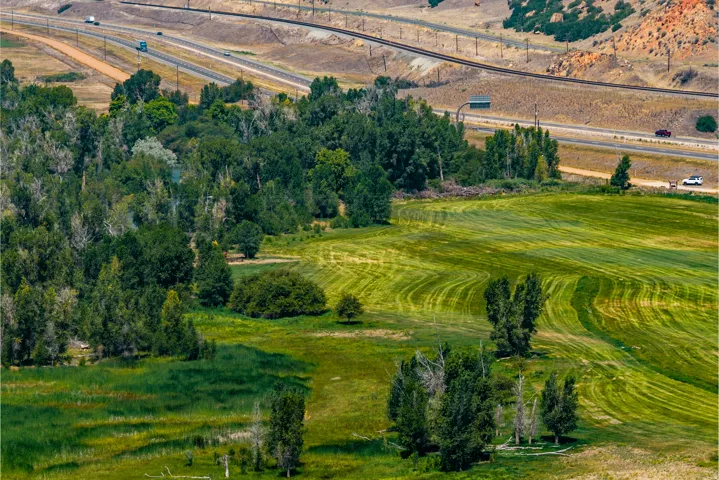 Expansive green landscape with varied terrain, featuring mature trees, a natural growth area, and a mowed field