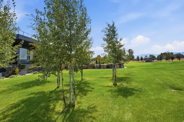Expansive green lawn with mature trees and a contemporary architectural exterior
