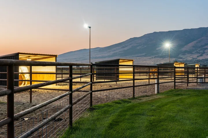 Multiple outdoor animal shelters, extensive metal fencing, and ground lighting