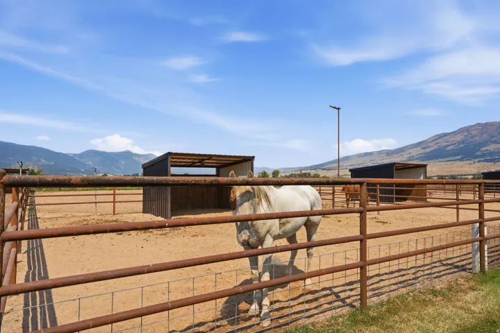 Multiple fenced enclosures with metal shelters