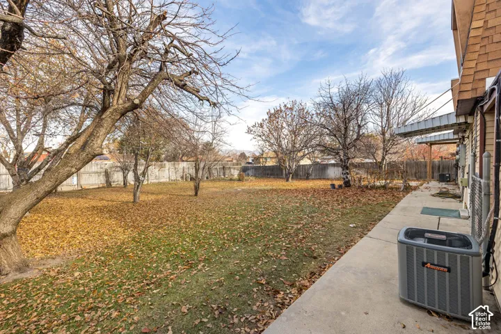 Expansive grassy yard with mature trees and a concrete walkway