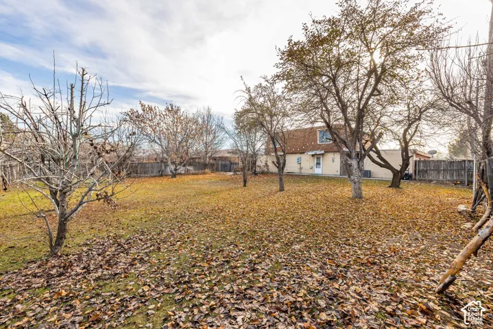 Expansive lawn area with a full coverage of mature trees and a wood fence perimeter