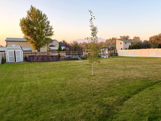 Expansive backyard featuring a manicured lawn, established trees, a storage shed, and a privacy fence
