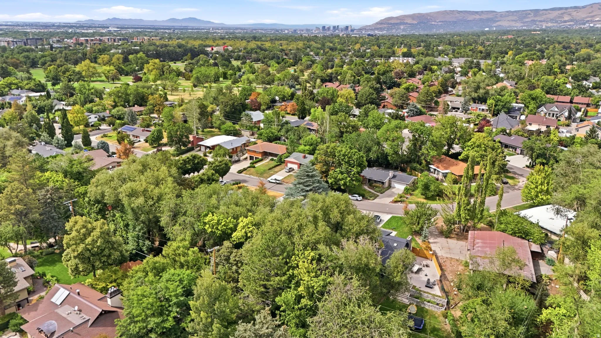Expansive neighborhood setting with abundant mature trees and distant city skyline