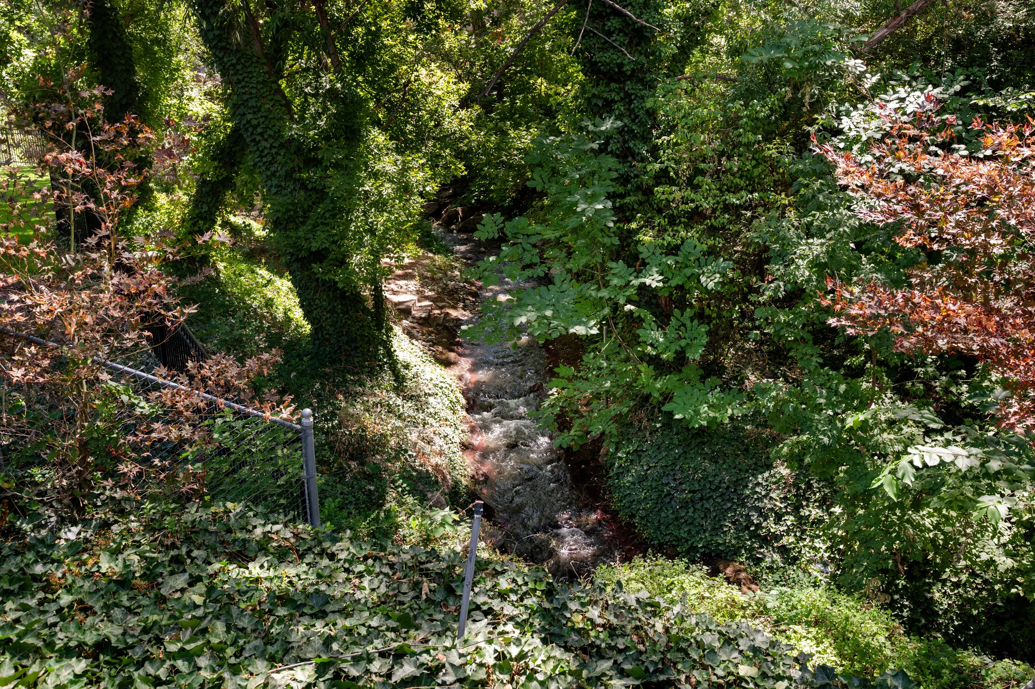 The covered porch overlooks the lush, wooded property and Mill Creek below.
