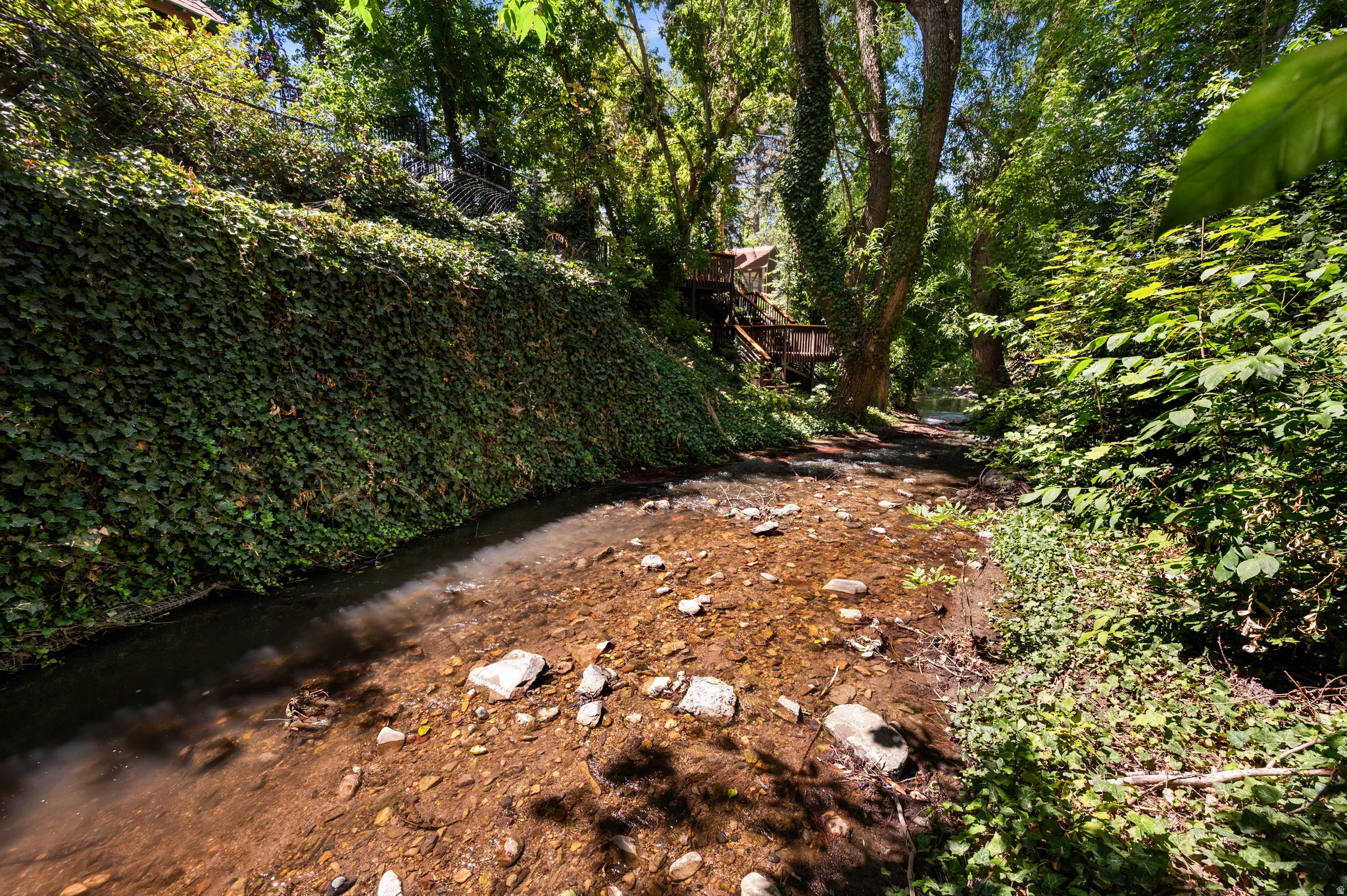 The sound and movement of Mill Creek create a remarkable natural backdrop just steps from home.