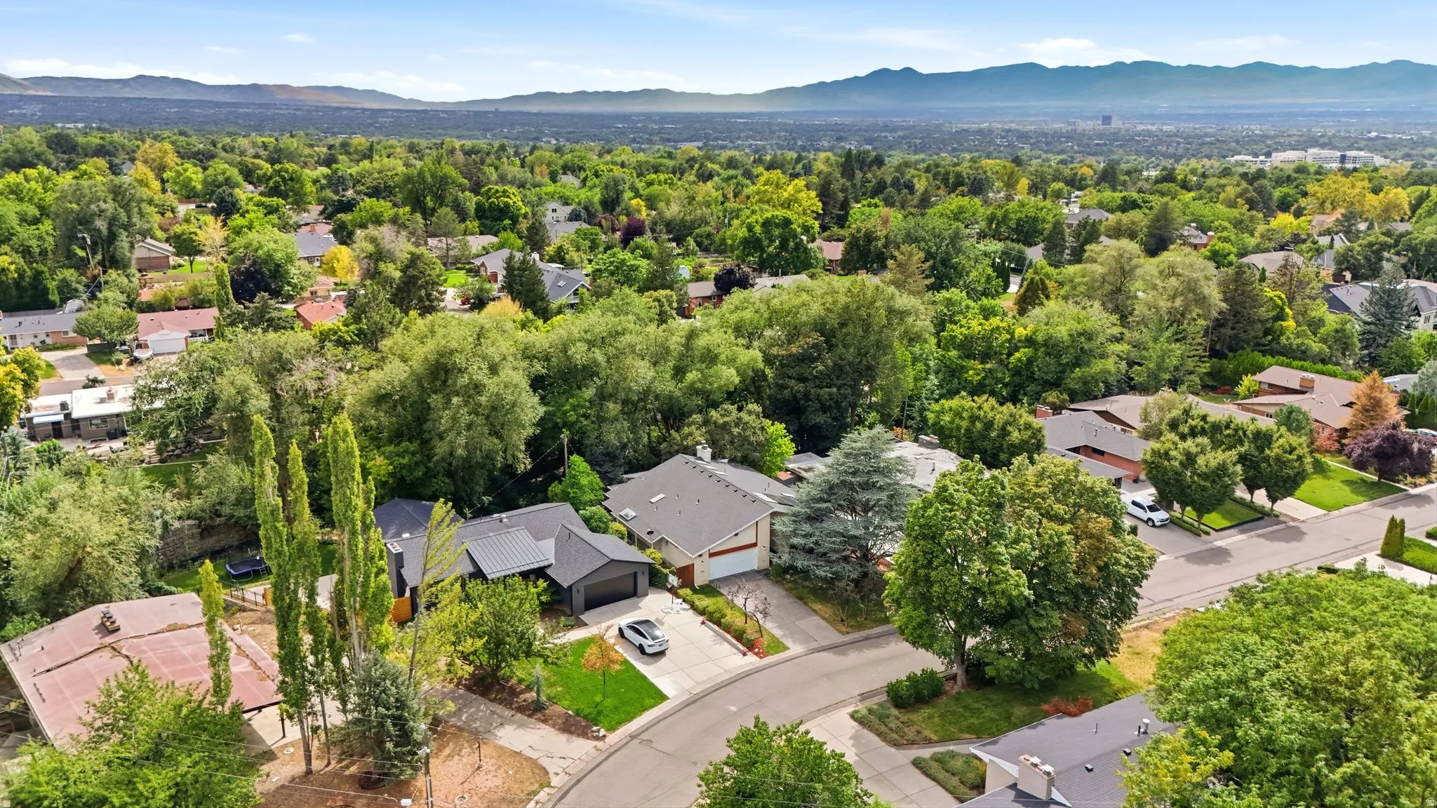 Lush, mature trees create a verdant canopy over the neighborhood, with a prominent mountain range in the distant background