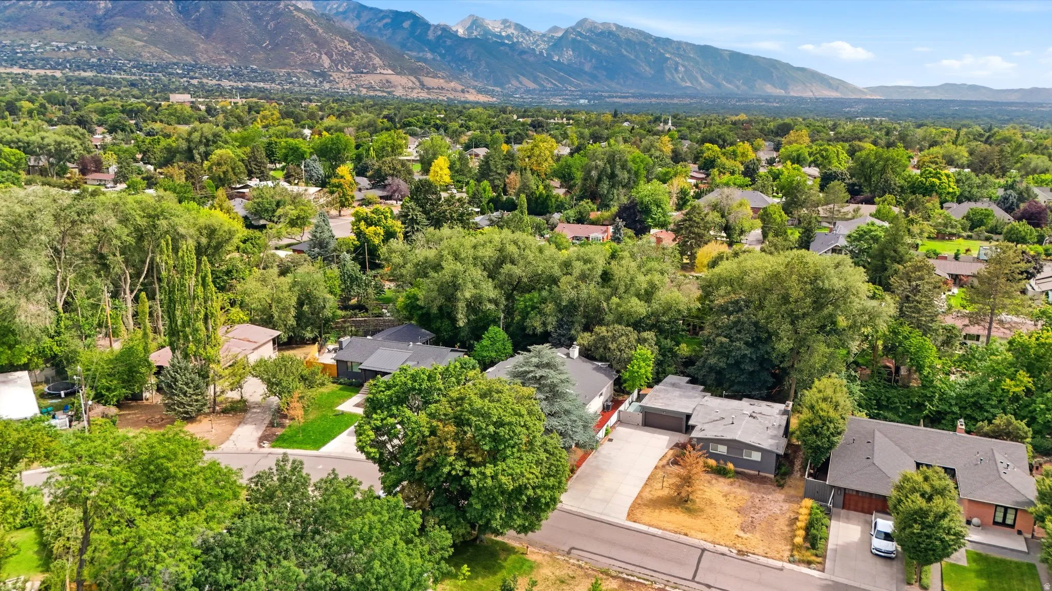 Residential setting with mature trees and mountain backdrop