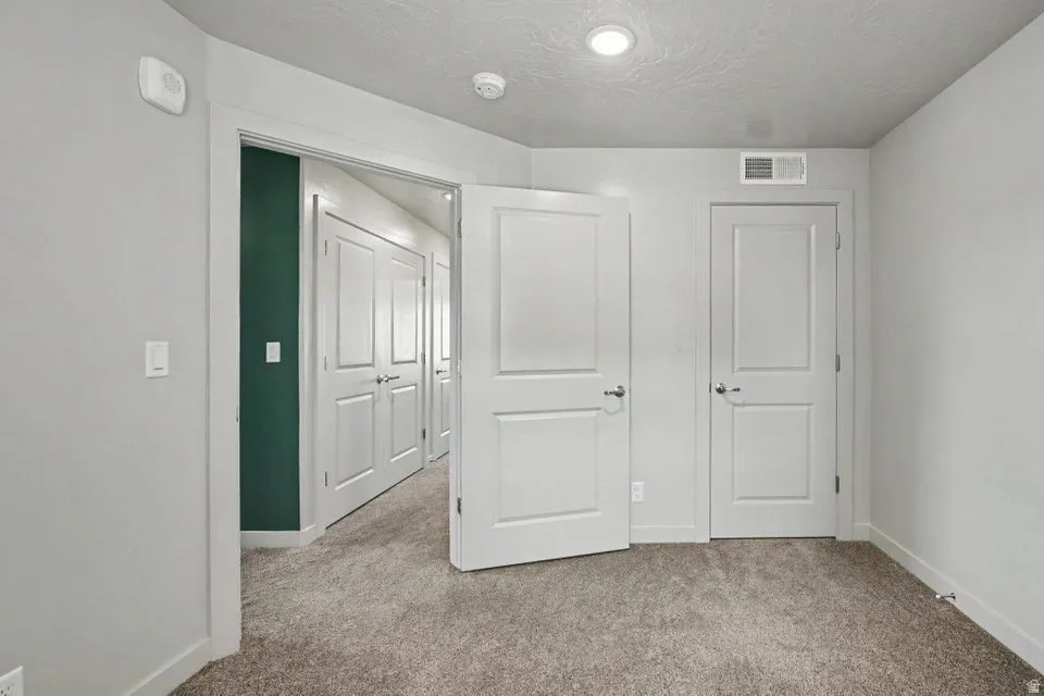 Recessed ceiling lighting, panel doors, wall-to-wall carpeting, and light gray wall paint