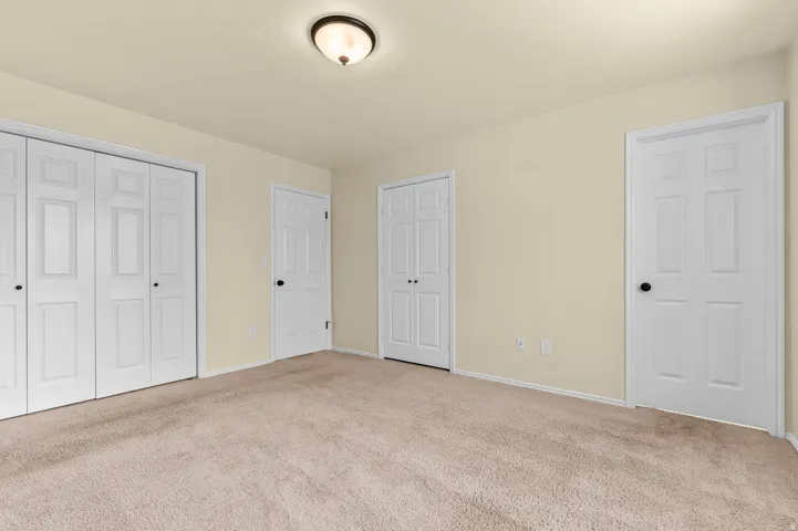 Carpeted flooring with light-toned walls, featuring white paneled doors and a ceiling-mounted light fixture