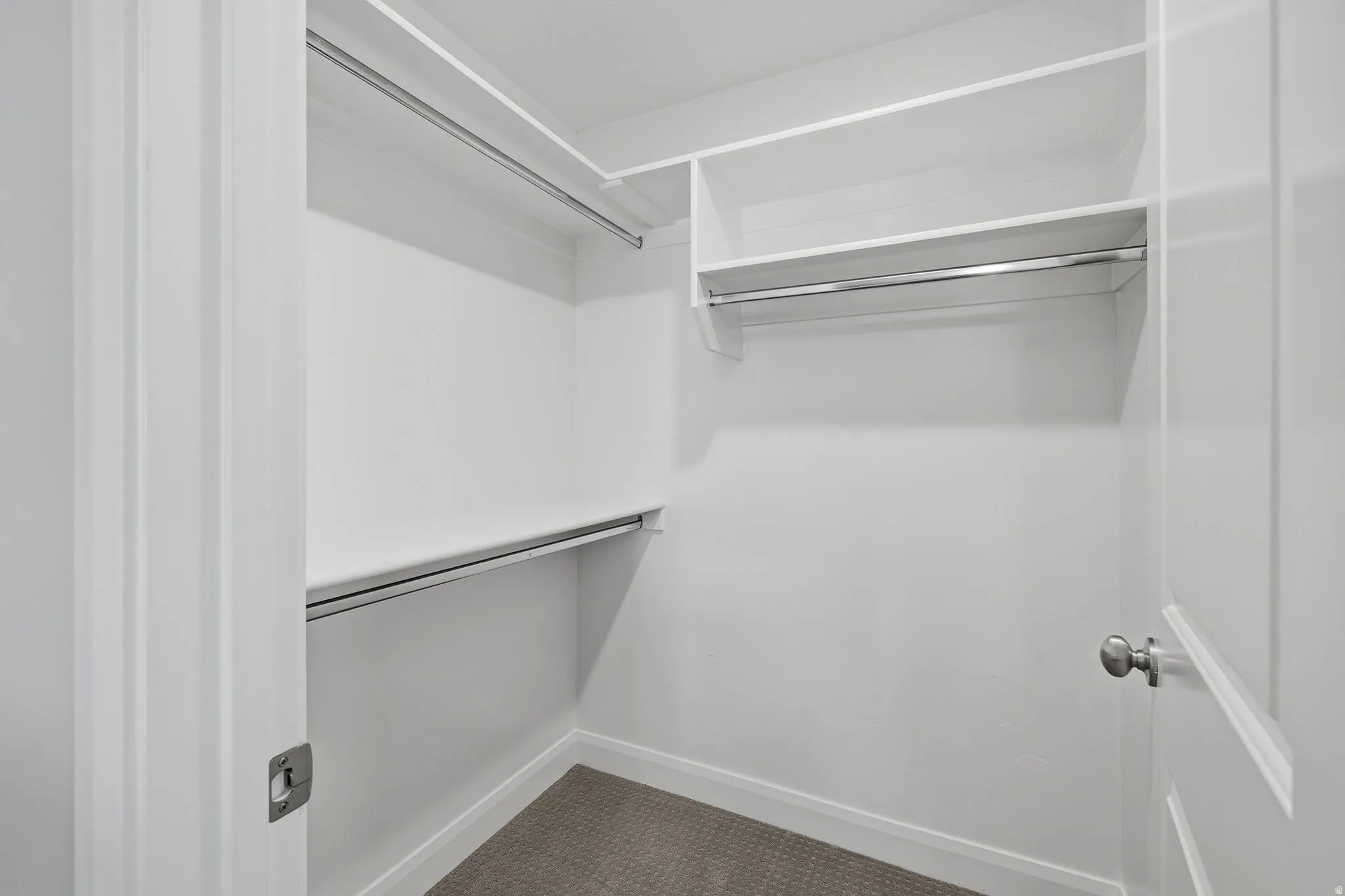Walk-in closet featuring white shelving, multiple hanging rods, and neutral-toned carpeting