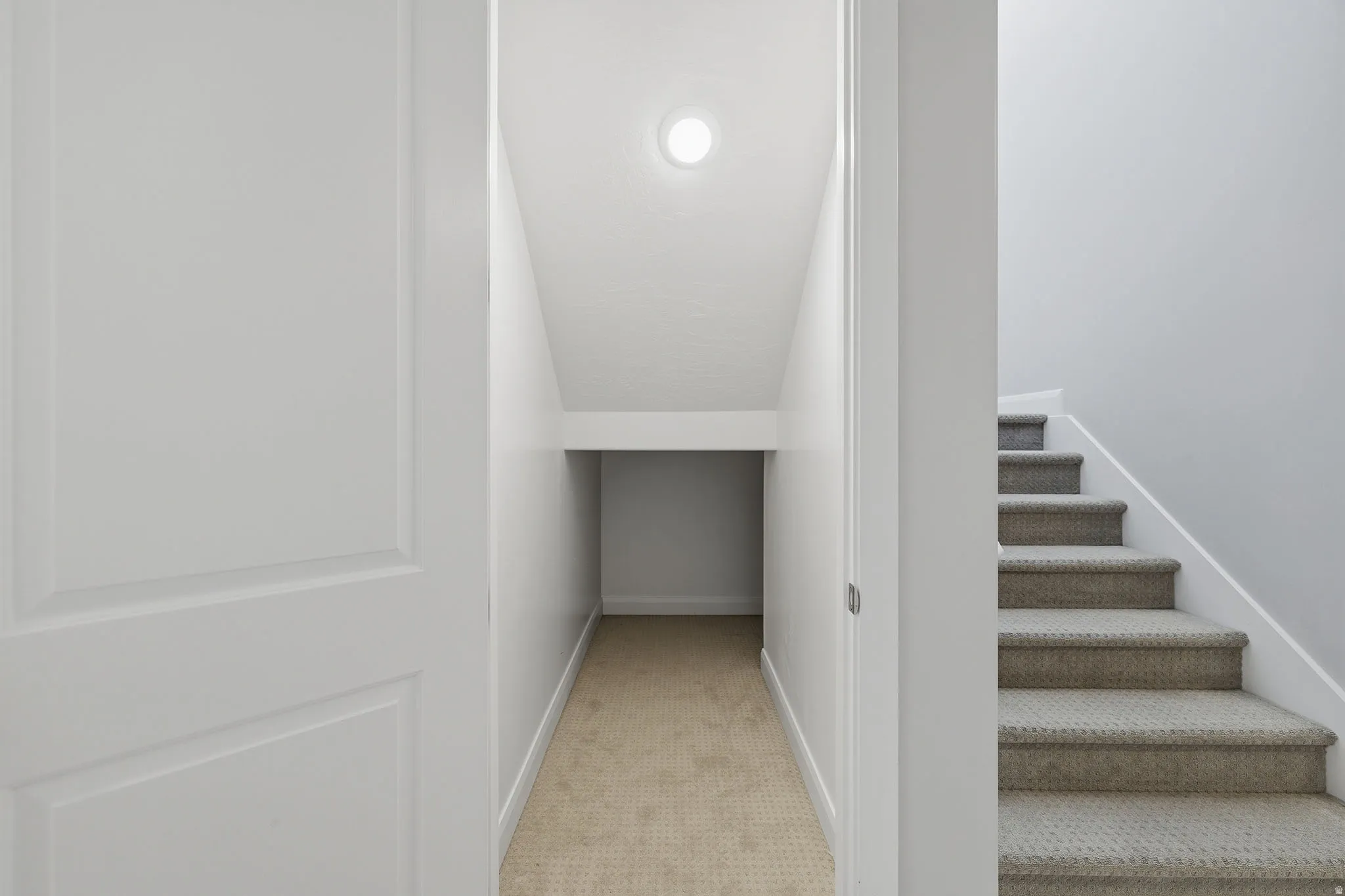 Under-stair storage space with carpet flooring and overhead lighting