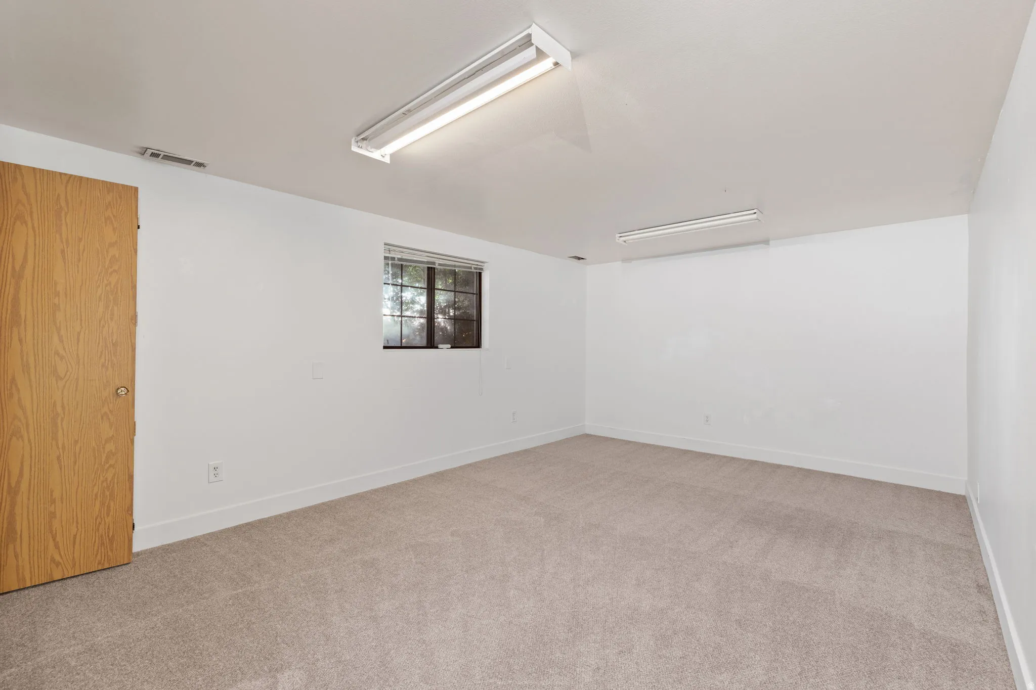 Window with horizontal blinds, light-toned carpet, and a wooden interior door