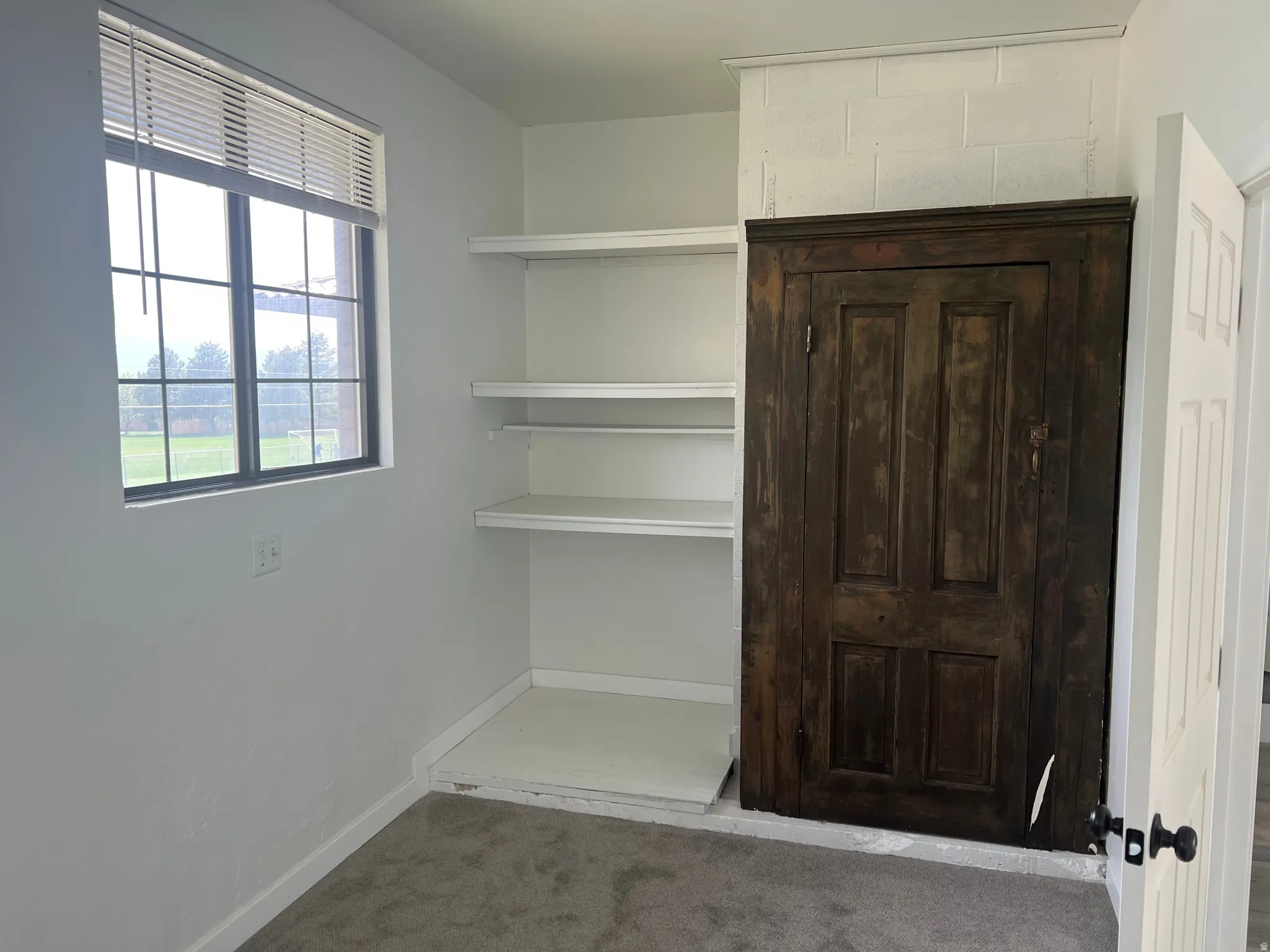 Built-in shelving, dark wood-finish cabinetry, window with blinds, and light gray wall-to-wall carpeting