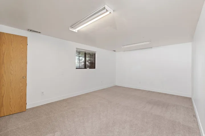 Window with horizontal blinds, light-toned carpet, and a wooden interior door