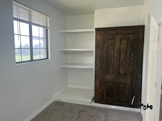Built-in shelving, dark wood-finish cabinetry, window with blinds, and light gray wall-to-wall carpeting