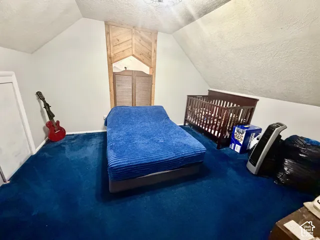 Vaulted ceiling with textured finish, light gray wall paint, and blue carpeting