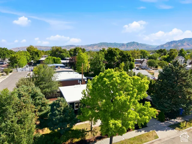 Aerial view showcasing mature landscaping with established trees throughout the property, a white-roofed structure, and expansive grounds