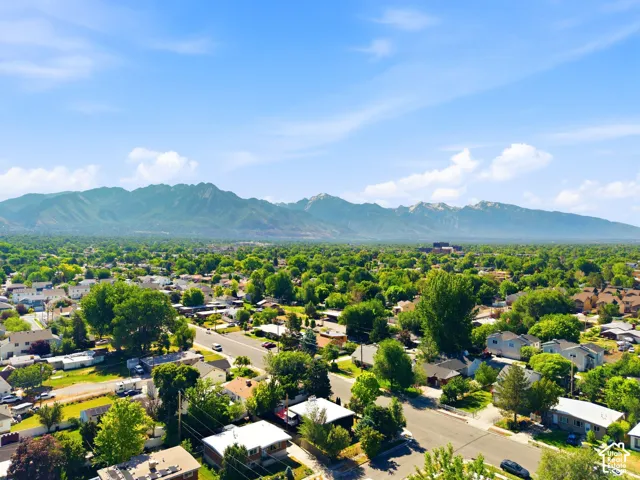 Aerial view showcasing a tree-lined residential neighborhood with mature landscaping throughout