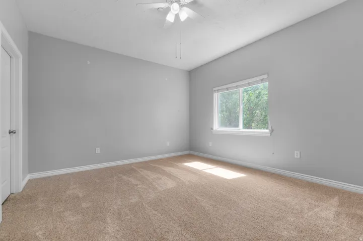 Neutral wall paint with textured carpeting