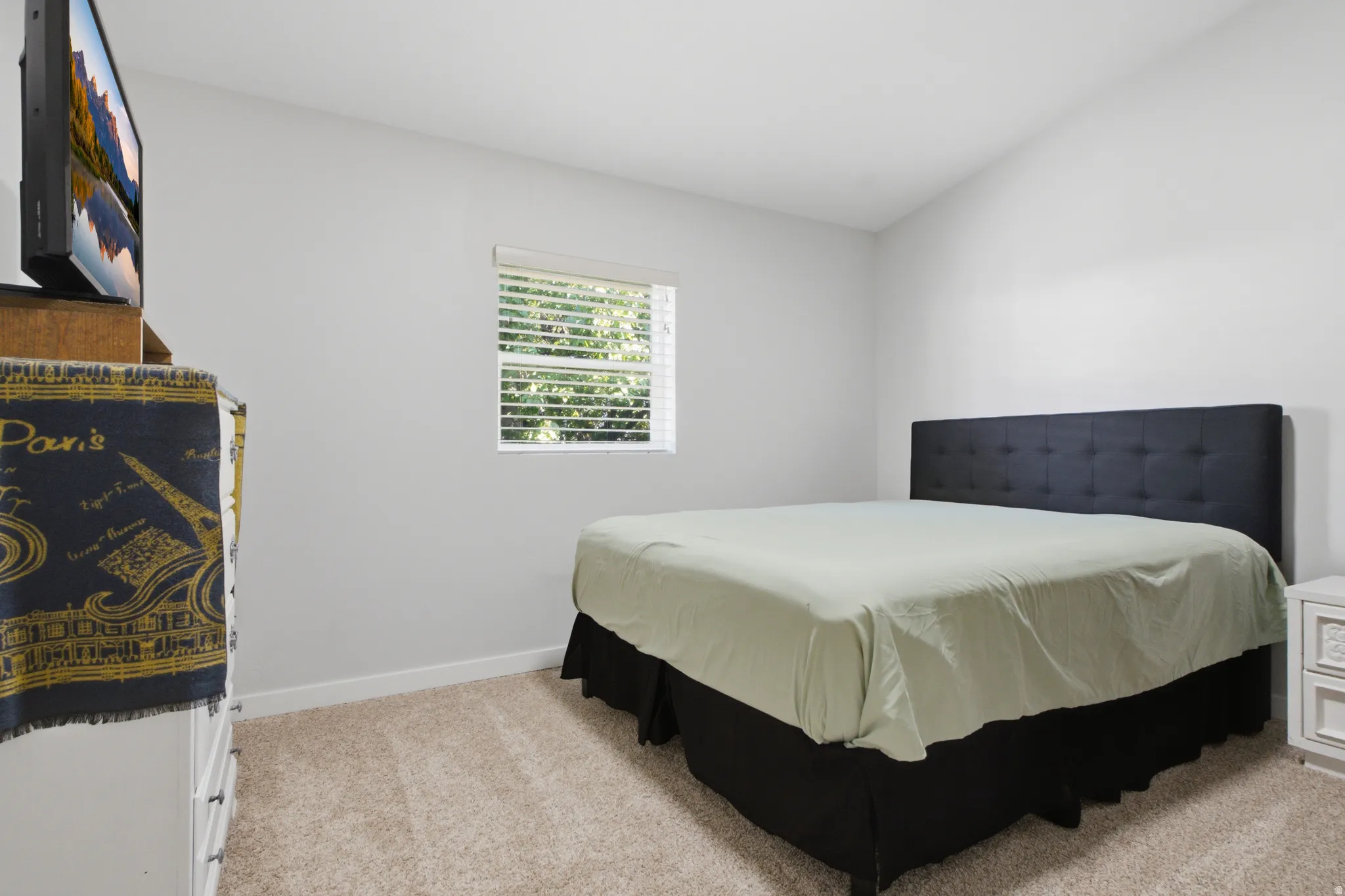 Carpeted flooring, window with blinds, and neutral wall tones