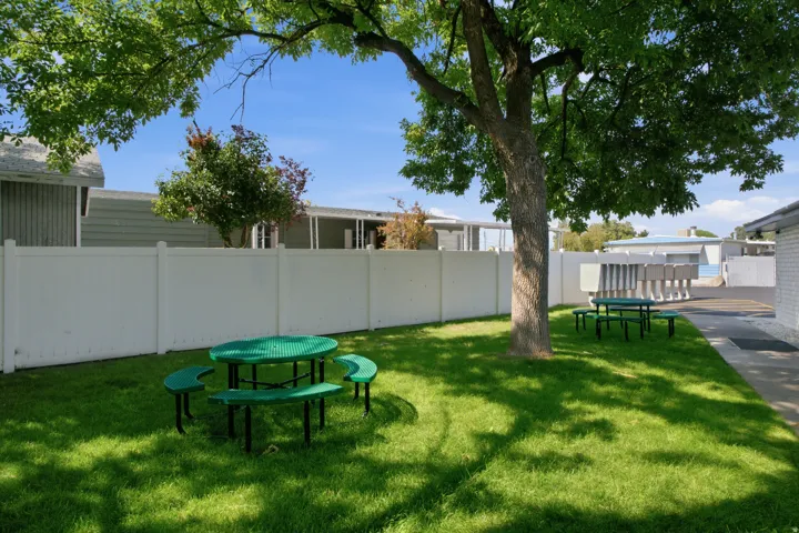 Lush green lawn with mature shade trees and a white privacy fence
