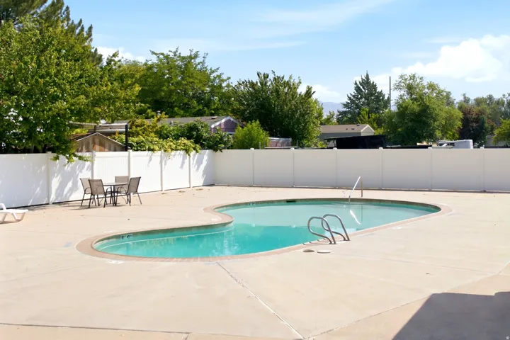 Freeform swimming pool with concrete decking and white privacy fencing