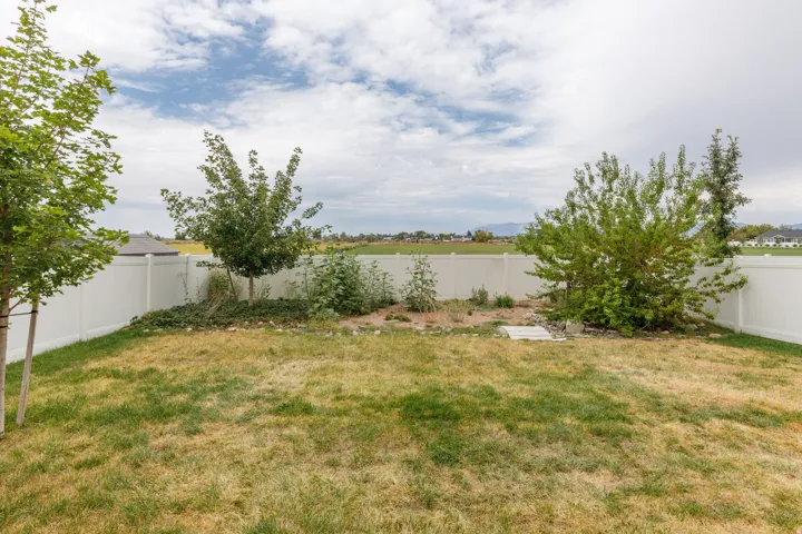 Spacious backyard with mature landscaping and established trees, bordered by privacy fencing