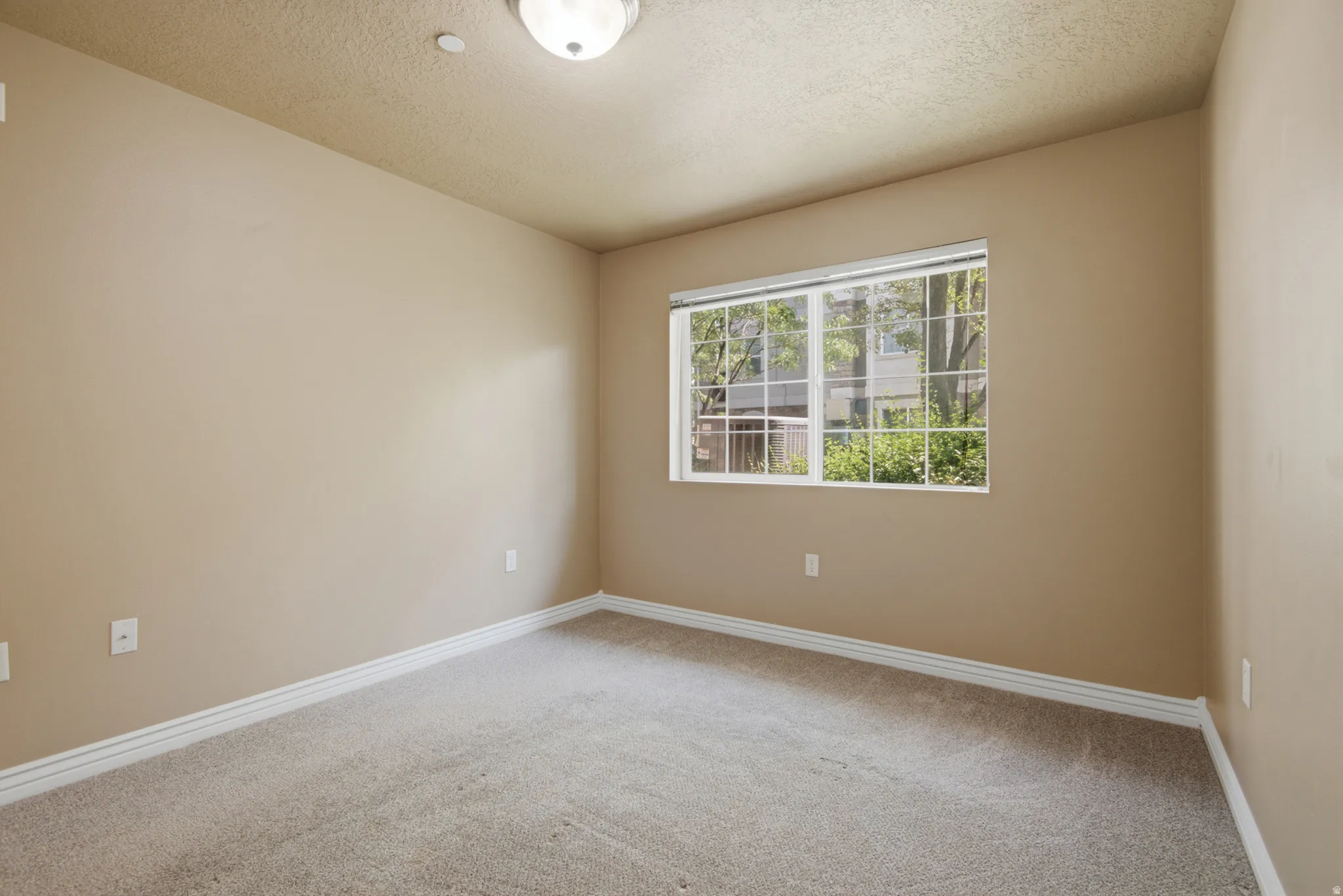 Neutral-toned walls, carpeted flooring, and a large window providing natural light