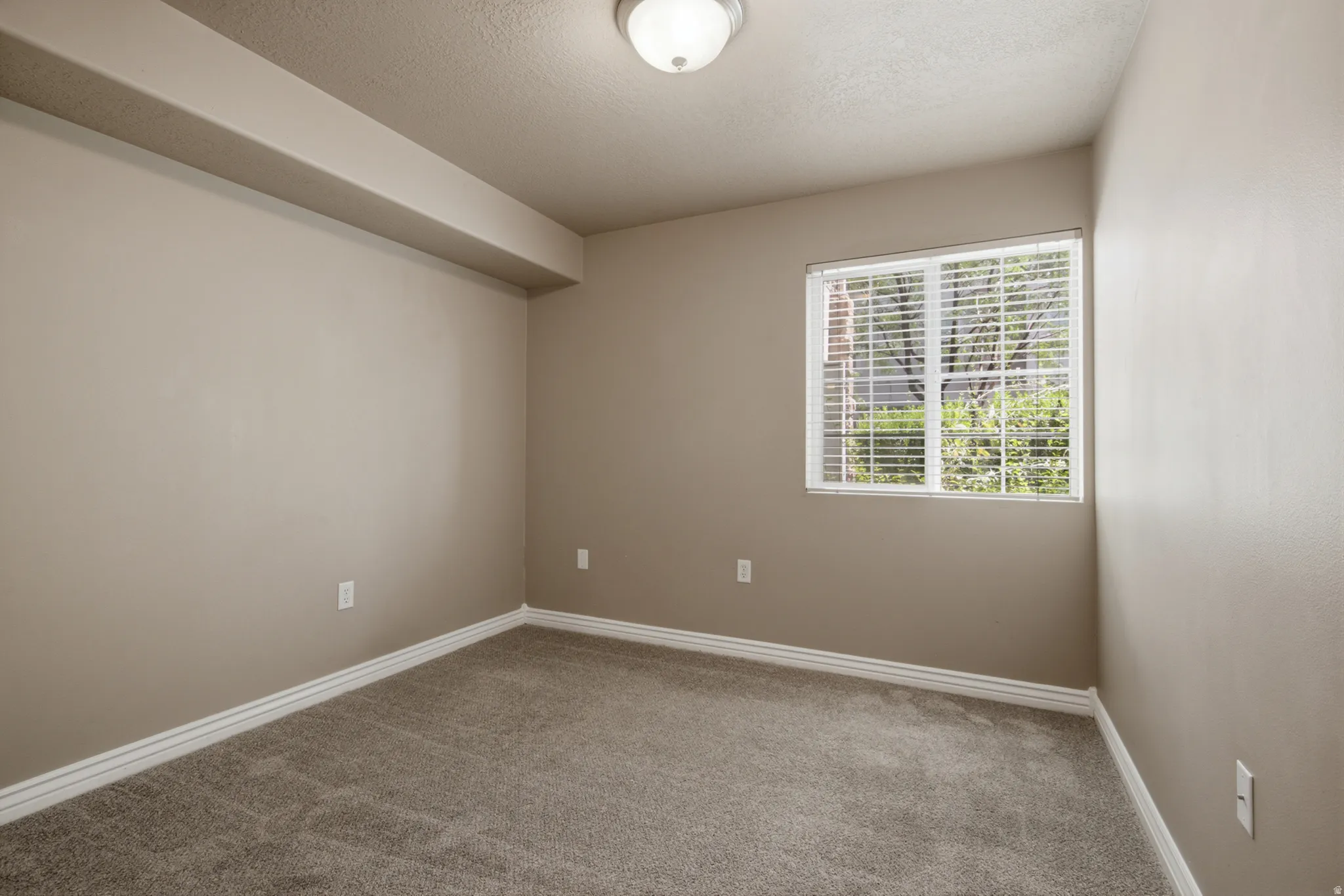 Neutral wall paint, carpeted flooring, white trim, recessed window with horizontal blinds, and a flush-mount ceiling light fixture