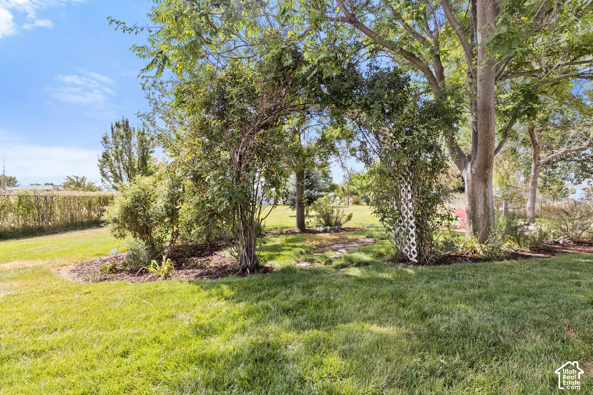 Backyard greenery