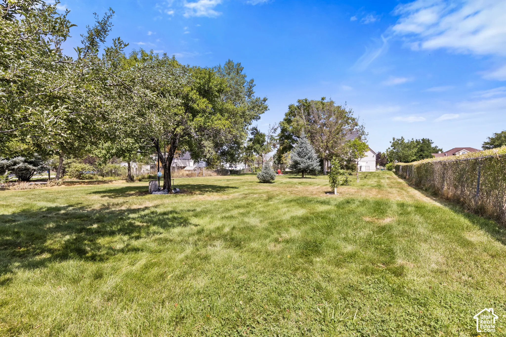 Expansive lawn with mature trees and a privacy fence
