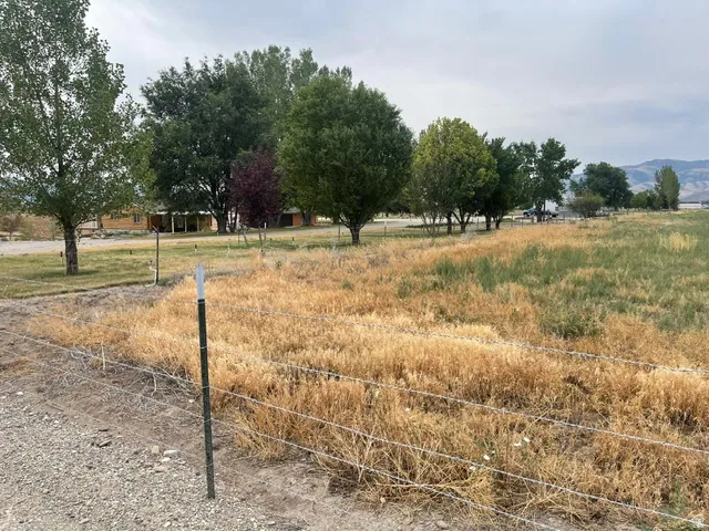 Expansive lot featuring a partial wire fence, gravel ground cover, and a mix of mature trees