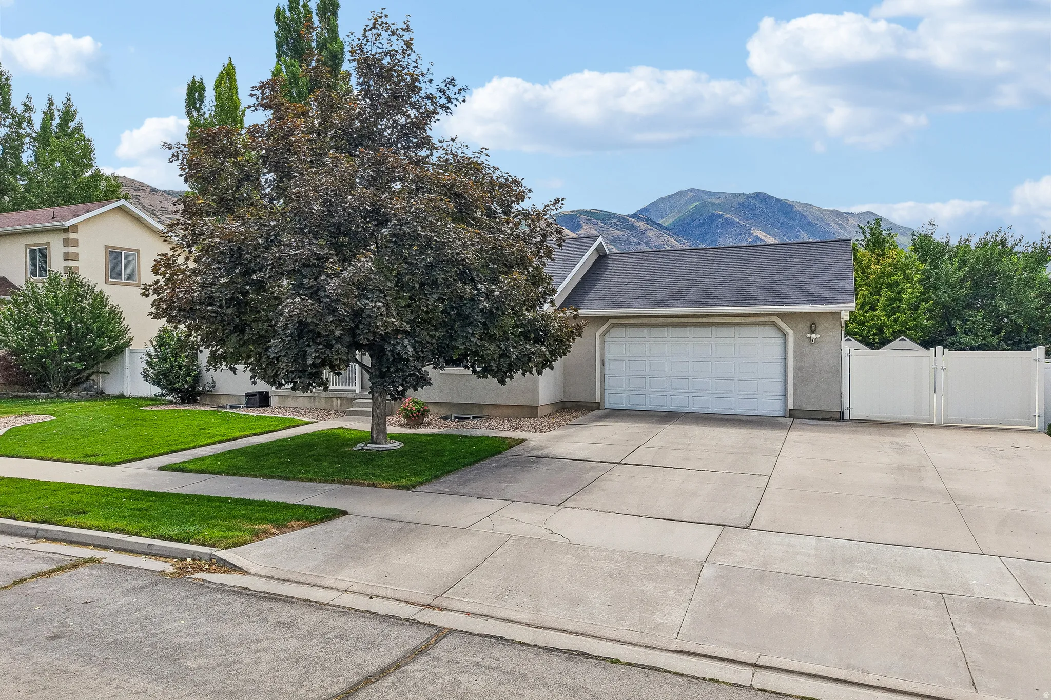 Spacious front yard with mature tree, concrete driveway, and white privacy fencing
