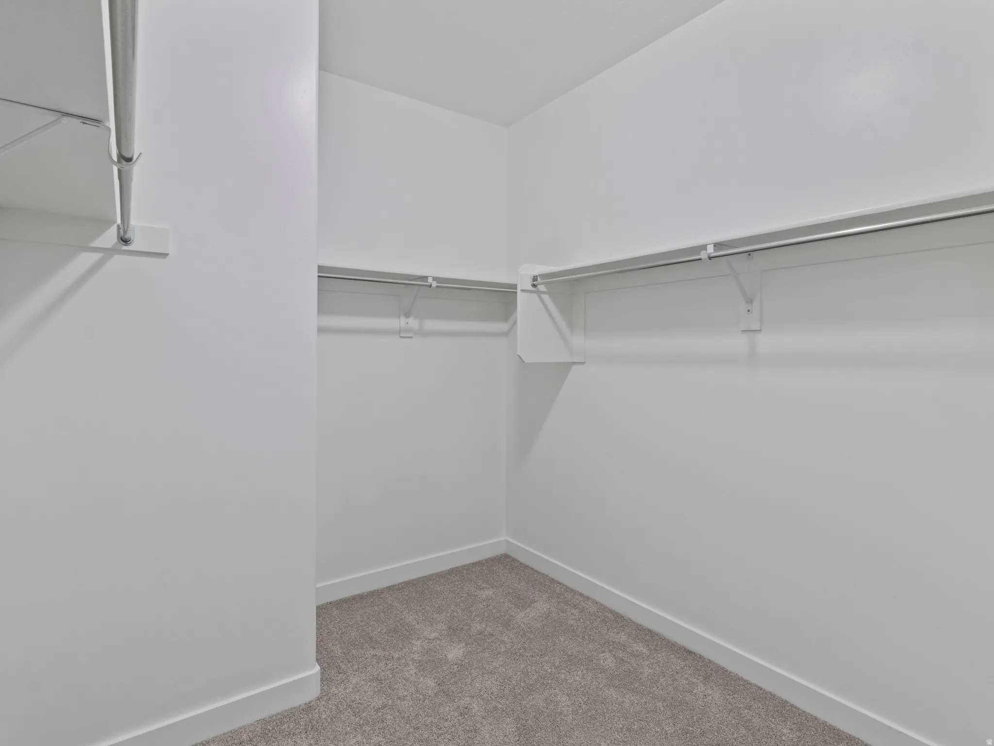 Expansive closet with built-in shelving, hanging rods, and carpeting