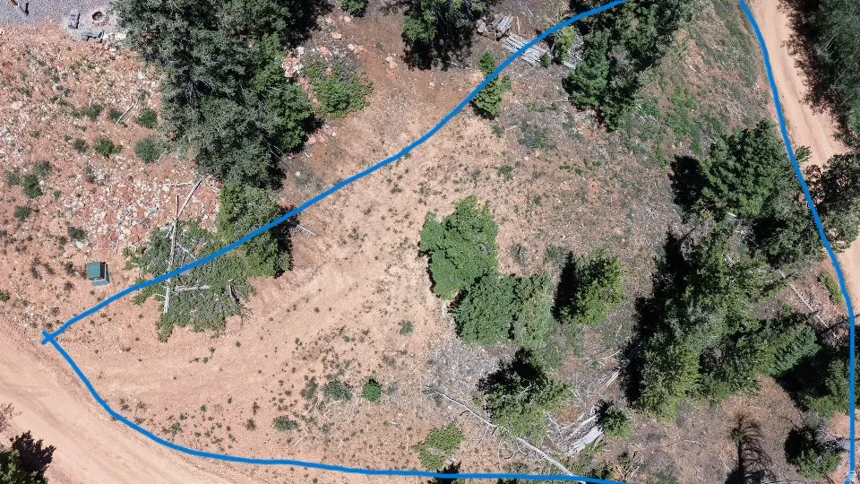 Expansive undeveloped land parcel featuring natural terrain and mature evergreen trees
