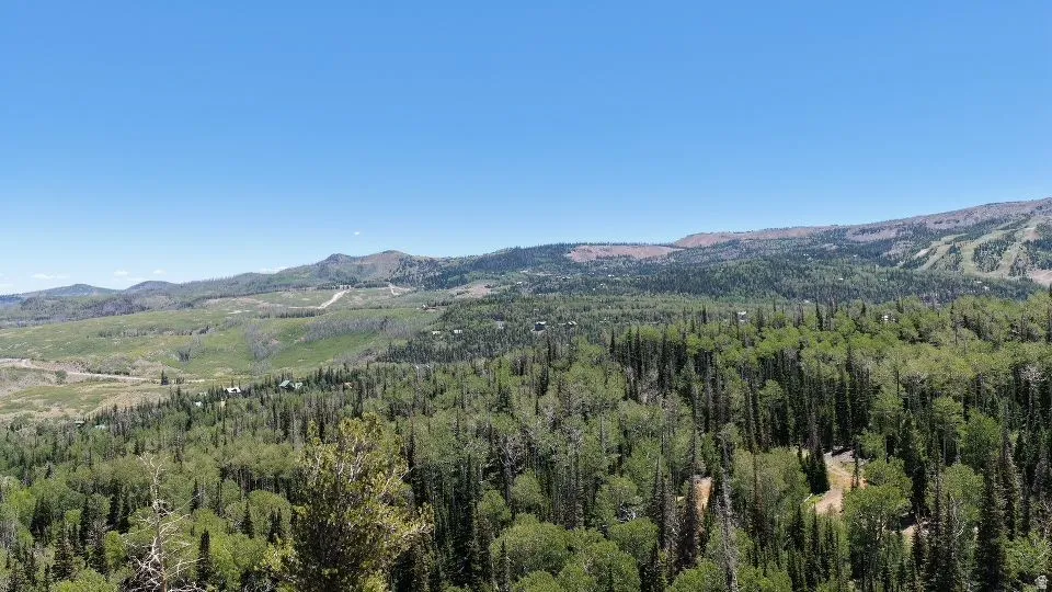 Expansive aerial perspective showcasing a mountainous, wooded landscape under a clear sky