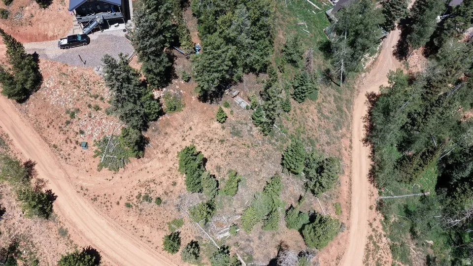 Expansive undeveloped land featuring natural terrain and mature trees