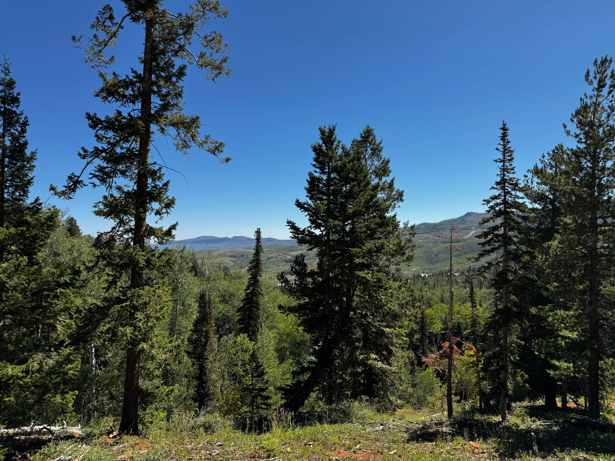 Mountain views from the property