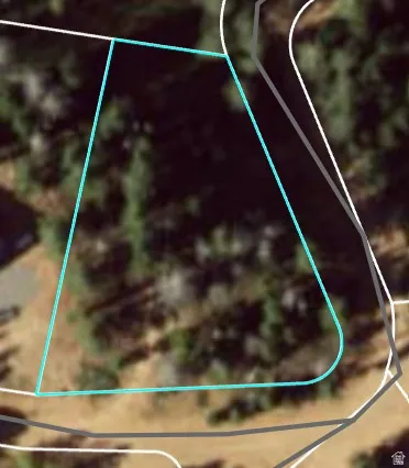 Property Boundary Map. Depicting the perimeter of the property in relation to surrounding features