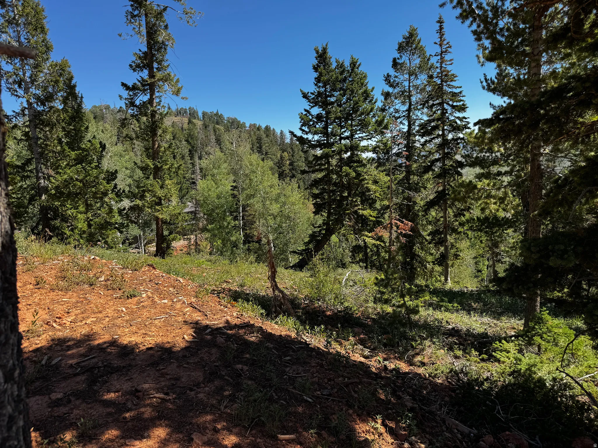 Views from the cleared building site